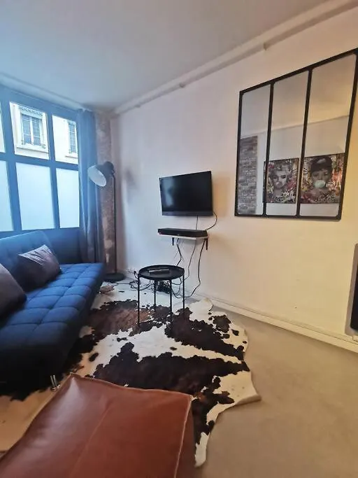Joli T2 De 37M2 Style Loft Prox Gare Metro Apartment Lyon